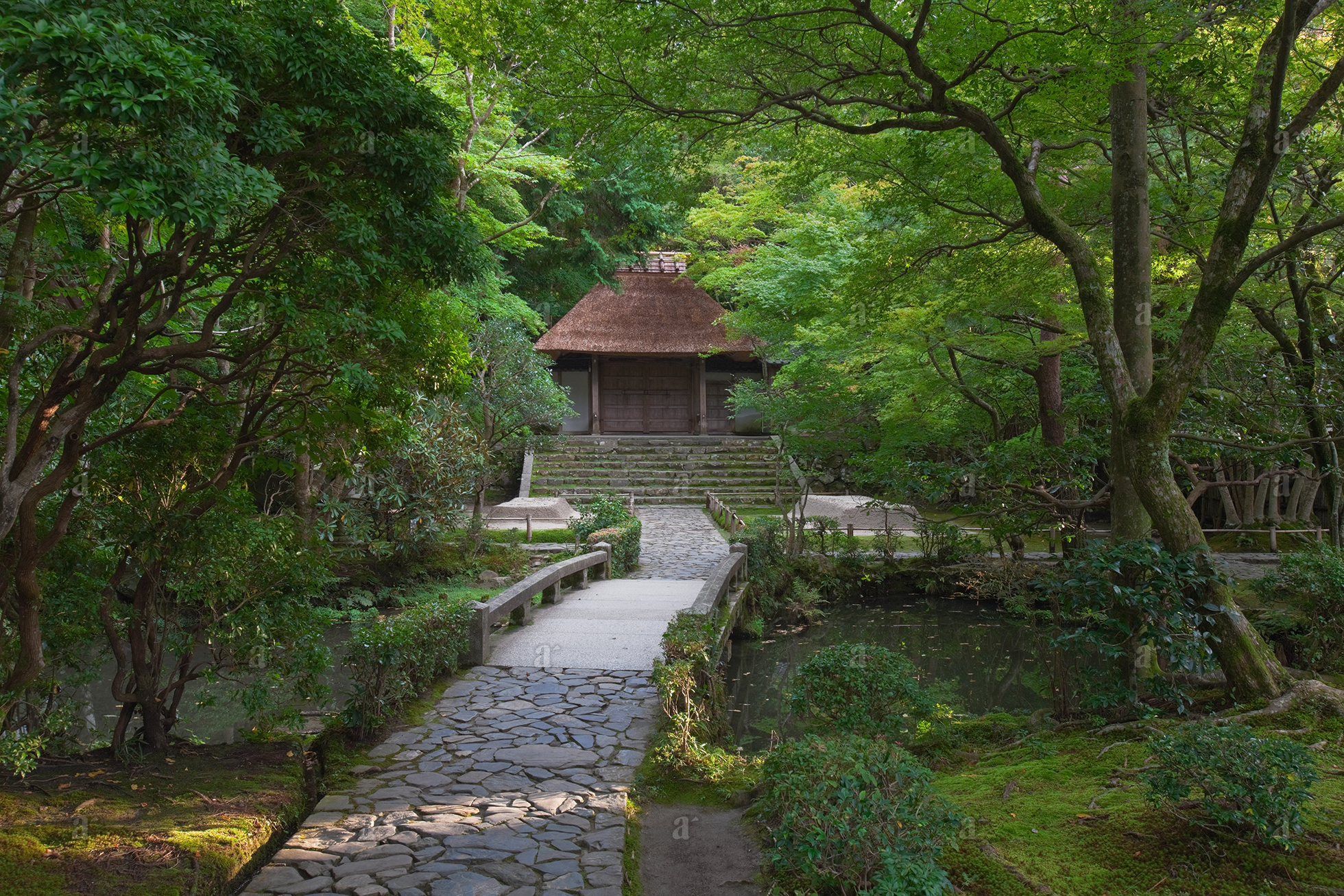 ベン・シモンズ &ldquo;法然院　京都&rdquo; Ben Simmons &ldquo;Honen-in, Kyoto&rdquo;